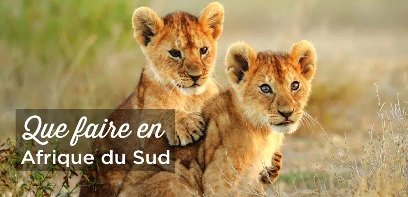 Que visiter en Afrique du Sud ?