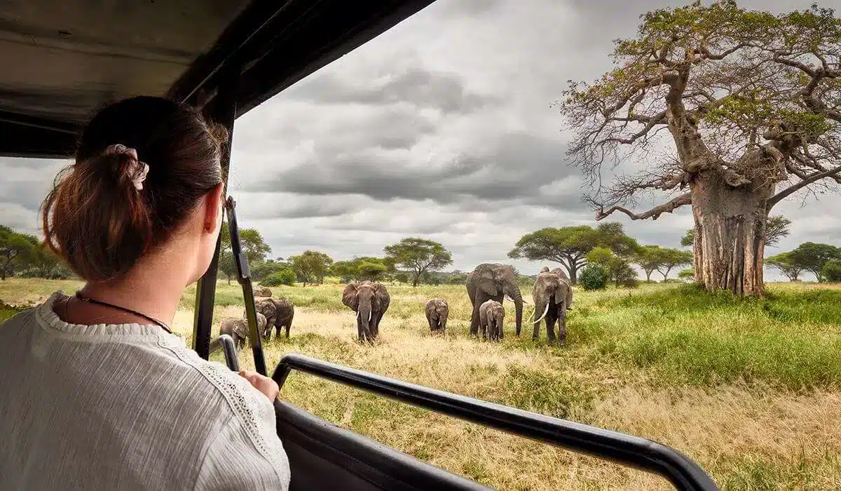 Tout savoir sur comment faire du safari en Tanzanie