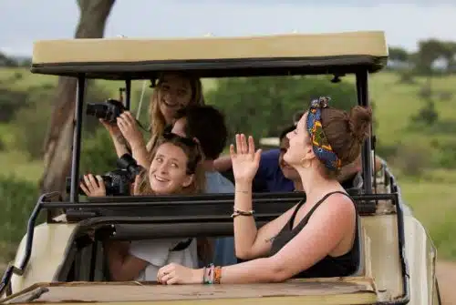 Tout savoir sur comment faire du safari en Tanzanie