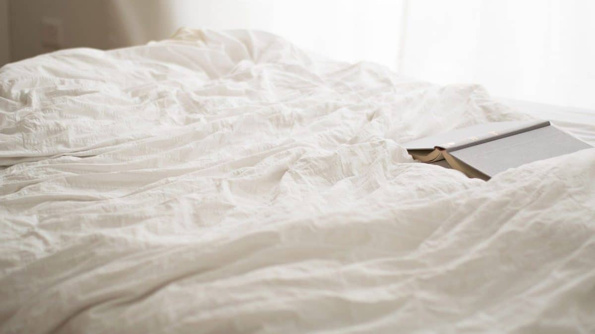 Punaise de lits : agissez rapidement avec l’aide d’experts